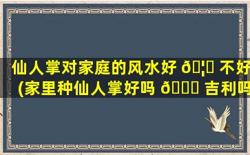 仙人掌对家庭的风水好 🦍 不好(家里种仙人掌好吗 🐝 吉利吗)